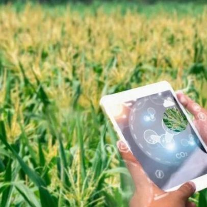 USDA lança programa NPG-Ag para testar IA em tempo real no campo