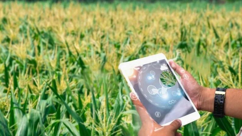 NPG-Ag funciona como um "campo de provas" federal