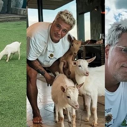 Bruno Gagliasso exibe mini cabras presente de aniversário