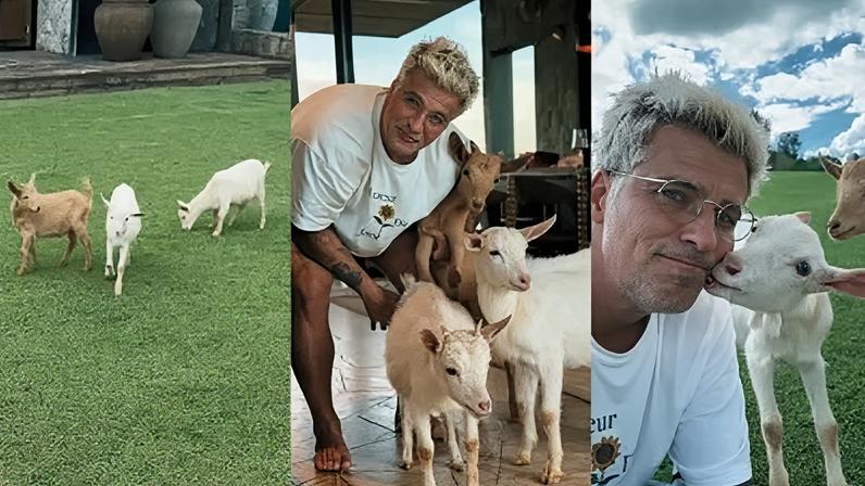 O ator Bruno Gagliasso com mini cabras que ganhou de aniversário da família