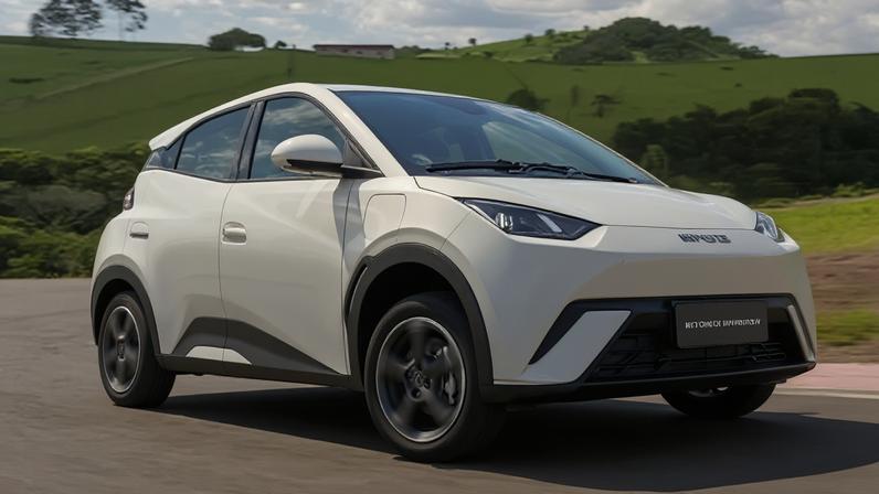 BYD Dolphin Mini: carro ganha opção para público PCD