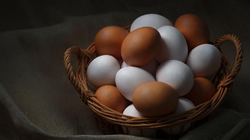 Consumo moderado de ovos beneficia o coração. (Foto: Aflo via Canva)
