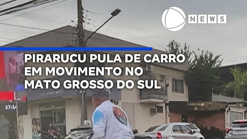 Pirarucu pula de carro em movimento no Mato Grosso do Sul