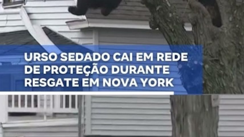 Reprodução canal do Youtube Record News