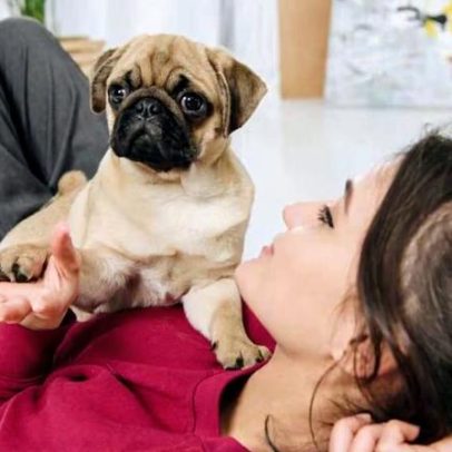 Zoomies dos pets: ciência e como lidar com esses momentos em casa