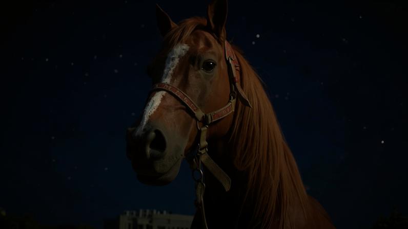 Cavalo Caramelo: de símbolo de tragédia a influenciador nas redes