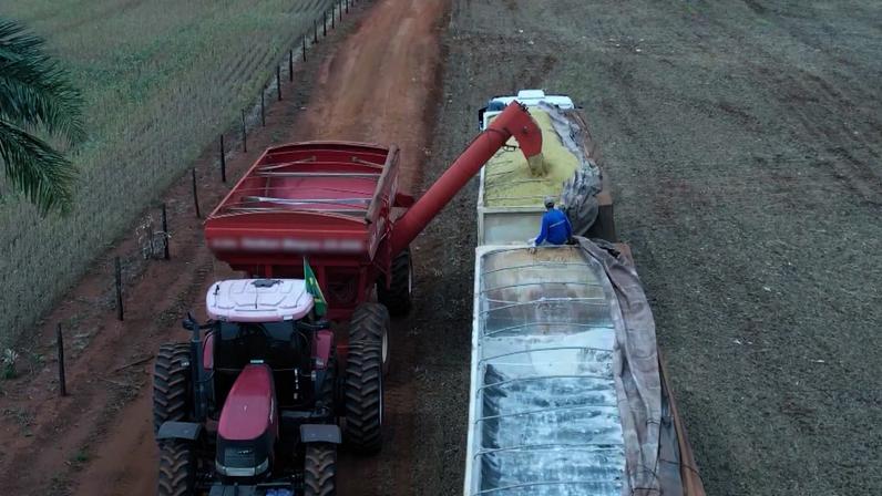 Os produtos mais afetados foram os do setor agropecuário