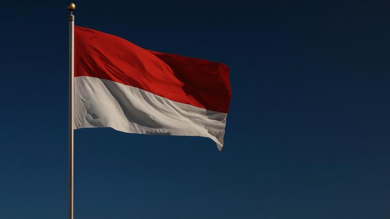 Imagem colorida da bandeira da Indonésia - Metrópoles