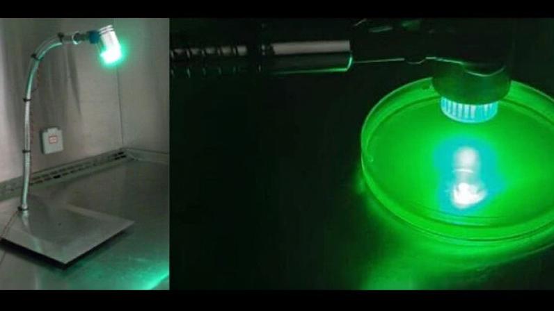 Equipamento semelhante a uma luminária de inox com uma lâmpada emitindo luz verde. A luminária está sobre uma bancada de laboratório, à esquerda. À direita, detalhe da luz interagindo com microrganismos em uma placa de petri