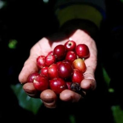 Cecafé registra queda de 10% em embarques de café no Brasil em março