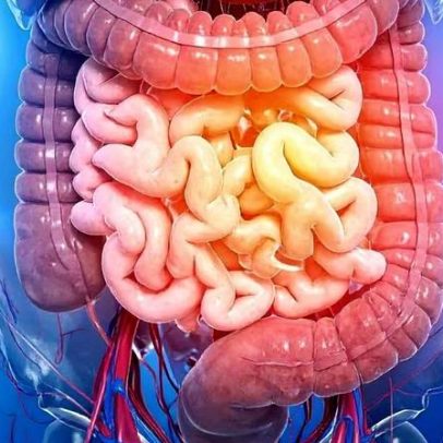 Desequilíbrio intestinal pode explicar a perda de memória na idade