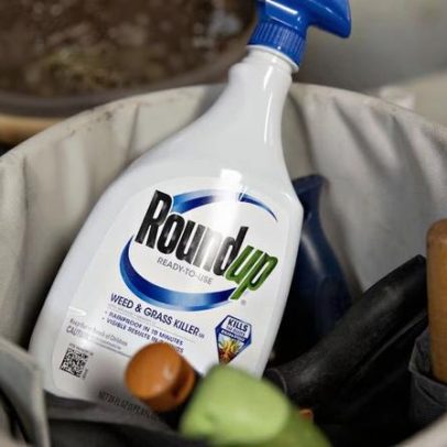 Acionistas da Bayer pressionam CEO antes de decisão nos EUA