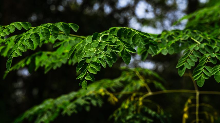 Microplásticos são encontrados em 83% da água da torneira globalmente