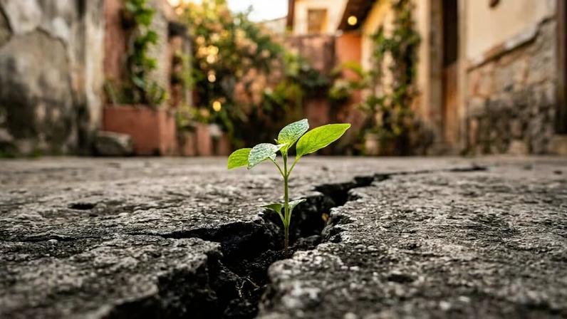 Recuperação de crise depende da reorganização de recursos cognitivos