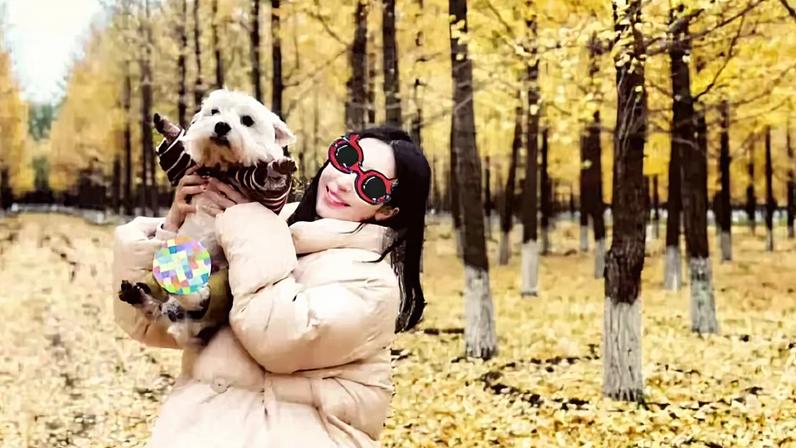 Li Yihan segura seu cão Papi, que foi envenenado por um vizinho