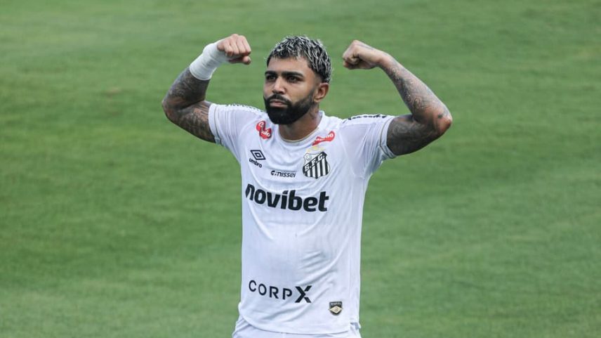 Gabigol celebra gol pelo Santos (Foto: Raul Baretta/ Santos FC.)