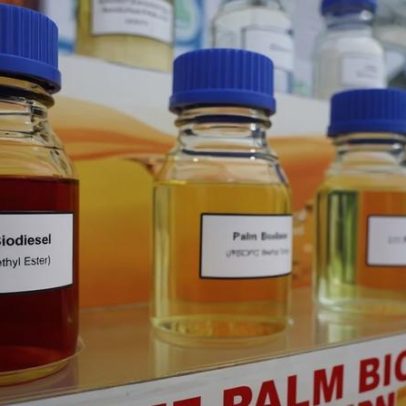 Biodiesel de palma na Malásia aumenta demanda de 300 mil toneladas