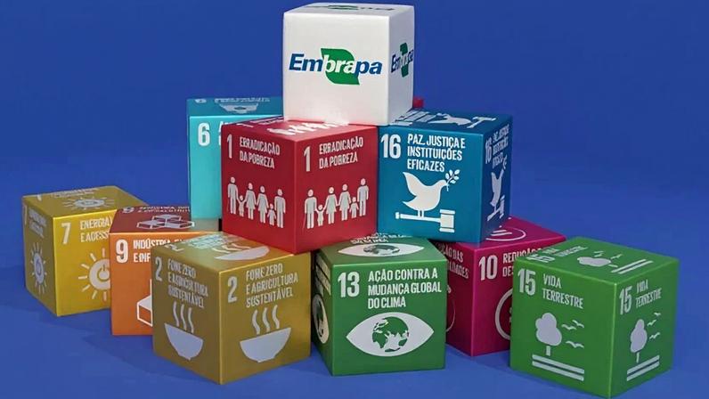 Conferência da Embrapa vai discutir os Objetivos de Desenvolvimento Sustentável (ODS)