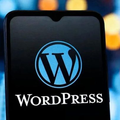 WordPress encara rival após anos de liderança isolada