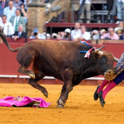 Toureiro é atingido por chifre de touro durante evento na Espanha