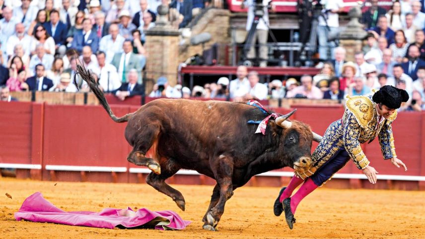 DOLOROSO - Flagrante do momento em que Clandestino atinge Morante: comoção que dividiu o público (Joaquin Corchero/Europa Press/Getty Images)