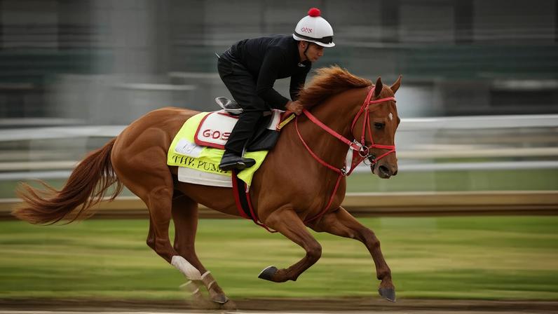 The Puma trains on the track during morning workouts ahead of the running of the 152nd Kentucky Derby.