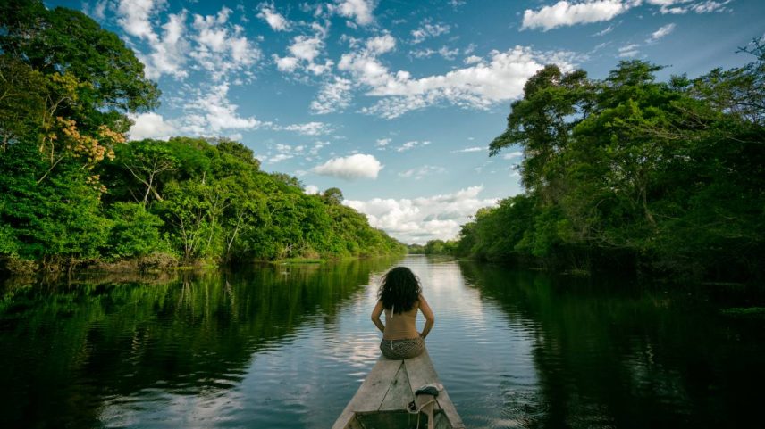 Concessão prevê investimentos em pesquisa, proteção florestal, educação ambiental, regularização fundiária e desenvolvimento de comunidades (Kim Schandorff/Getty Images)