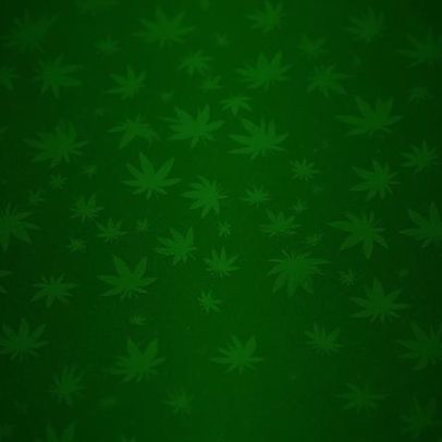 Governo Trump aprova maconha apenas para uso medicinal