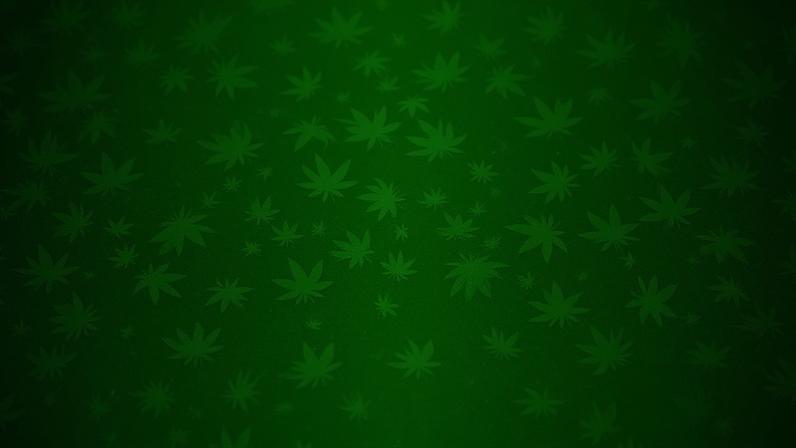 Não liberou geral: Governo Trump aprova maconha, mas só para uso medicinal
