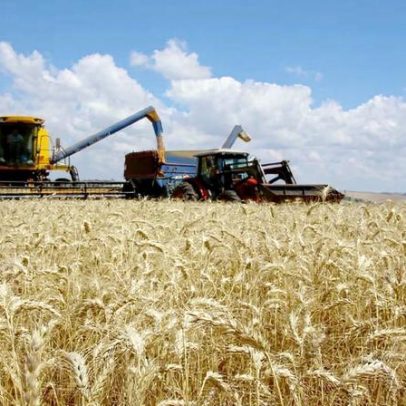 Crise no setor agrícola leva agronegócio a recorrer à recuperação judicial
