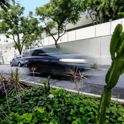Câmara de SP aprova vagas verdes e adaptação climática em escolas municipais