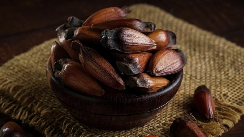 Pinhão oferece 5 benefícios à saúde e como consumi-lo