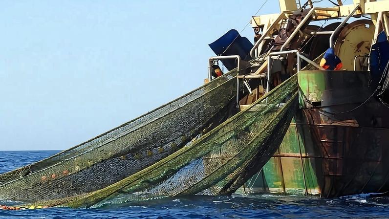 The bottom otter trawler Hendrika Jacoba operating in the Dogger Bank waters in the North Sea. Image © Greenpeace.