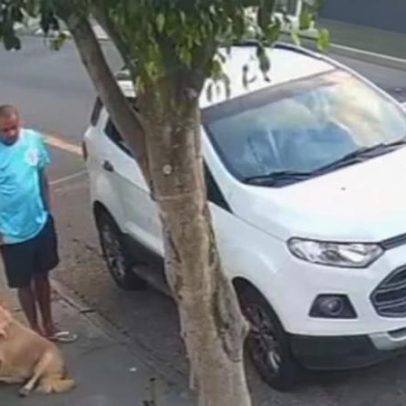 Casal flagrado abandonando cão em frente a clínica veterinária no ABC paulista