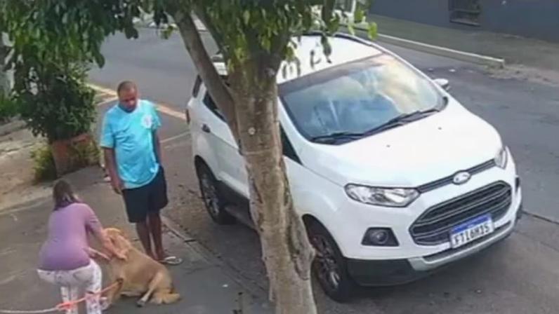 Casal abandona doguinho, que sofre sem família pela segunda vez, mas logo depois é adotado