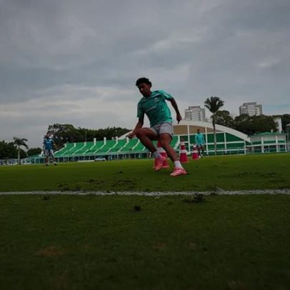 Palmeiras inicia preparação para jogo na Libertadores no Paraguai