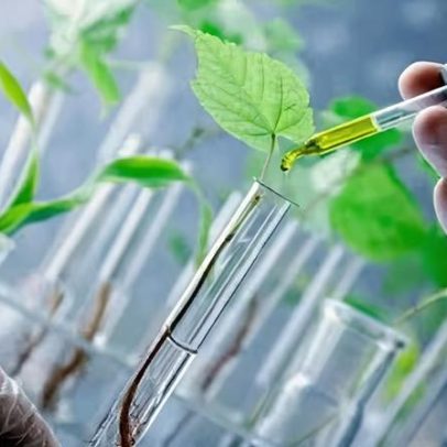 Bioinsumos brasileiros atingem recorde de 6,2 bilhões em 2025
