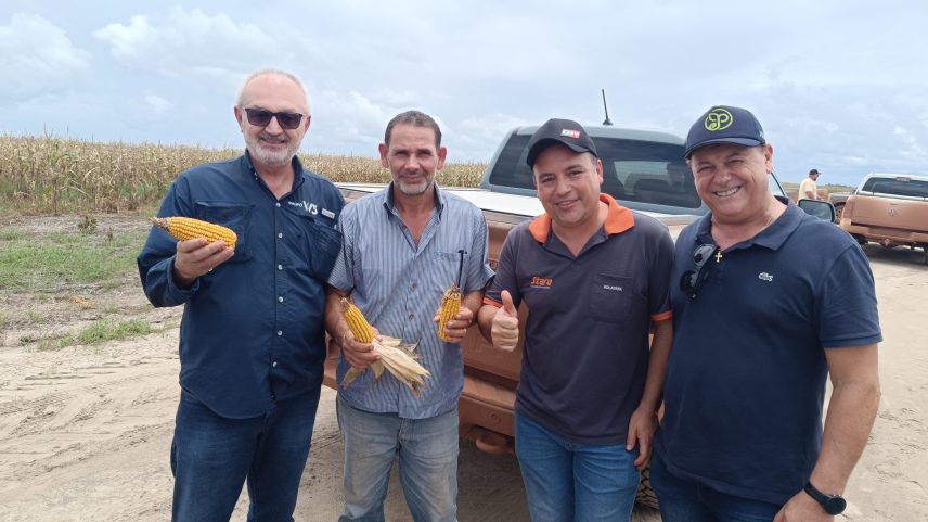 Guiana oferece terras gratuitas a brasileiros: motivações e condições