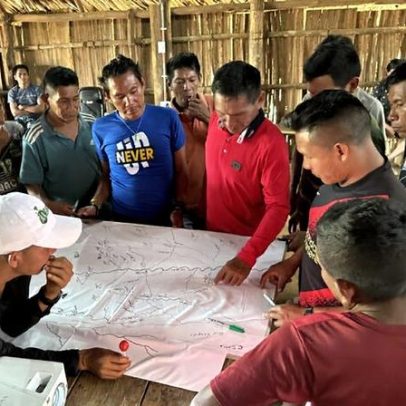 Povos indígenas e pesquisadores descrevem nova palmeira amazônica
