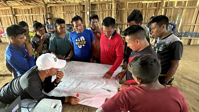 Povos indígenas e pesquisadores descrevem nova palmeira amazônica