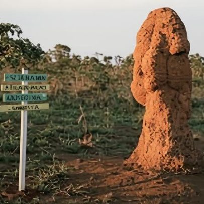 Professora de biologia desaparece após atividade com alunas em parque em Goiás