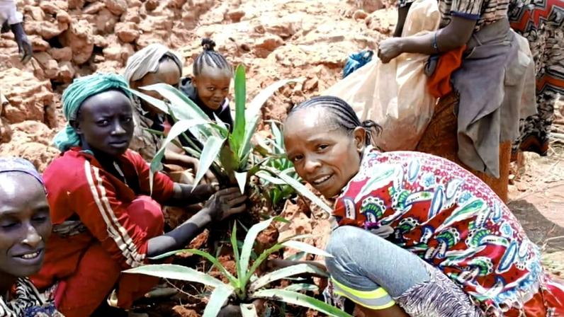 Mulheres etíopes plantam árvores, restaurando terras e meios de subsistência