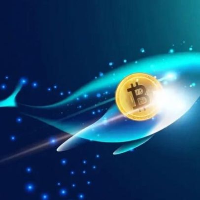 Baleia transfere US$20 milhões em Bitcoin para Binance e venderá com prejuízo