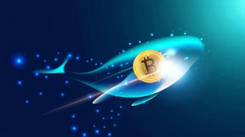 Ilustração de baleia nadando com moeda de bitcoin em seu interior