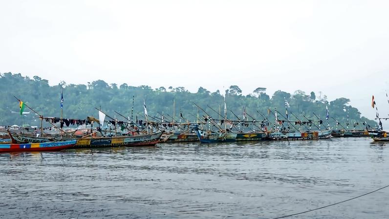 Compêndio de tubarões e raias de Camarões preenche lacuna de conservação