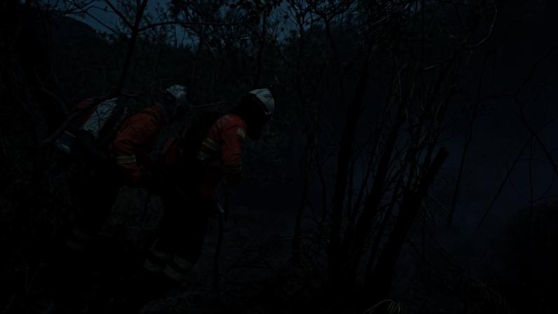Brigadistas apagam fogo florestal - Metrópoles