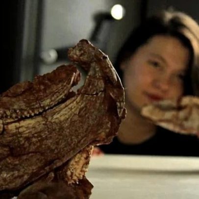 Fóssil revela nova espécie de réptil de 230 milhões de anos no Brasil