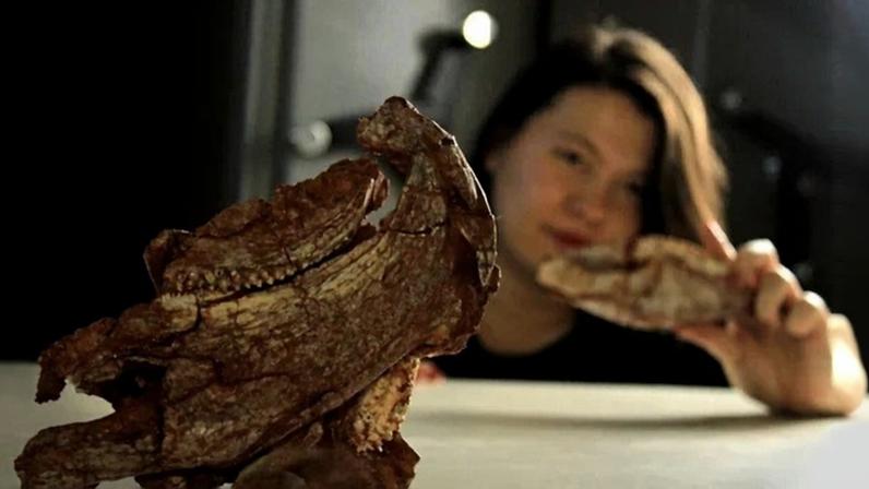 Nova espécie de réptil pré-histórico é identificada por pesquisadores da UFSM em Agudo, no Rio Grande do Sul. (Foto: Rodrigo Temp Müller/UFSM)