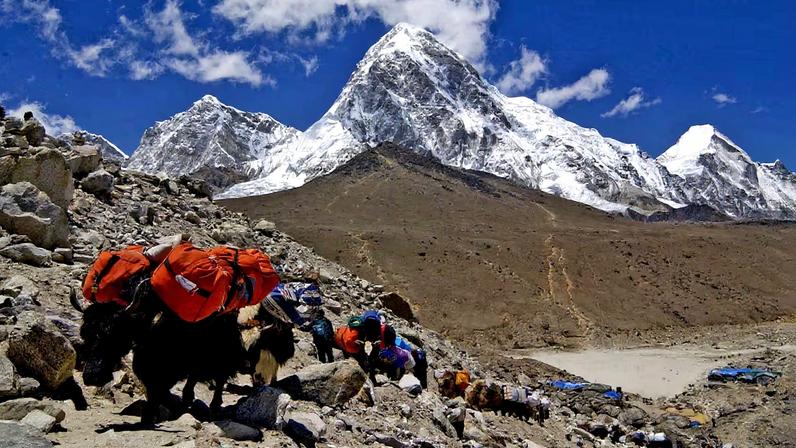 Guias do Everest envenenavam alpinistas para fraude de seguros