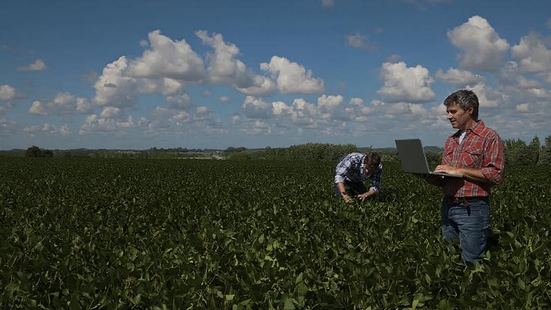 Brasil depende de ureia iraniana para fertilizantes estratégicos